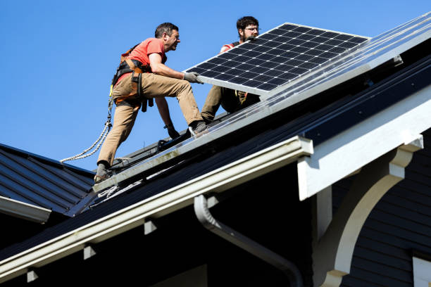 Best Roof Moss and Algae Removal  in Eulyptus Hills, CA