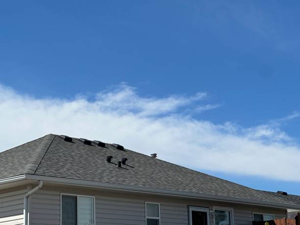 Best Emergency Roof Repair Services  in Eulyptus Hills, CA
